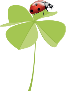 logo So-Semilla