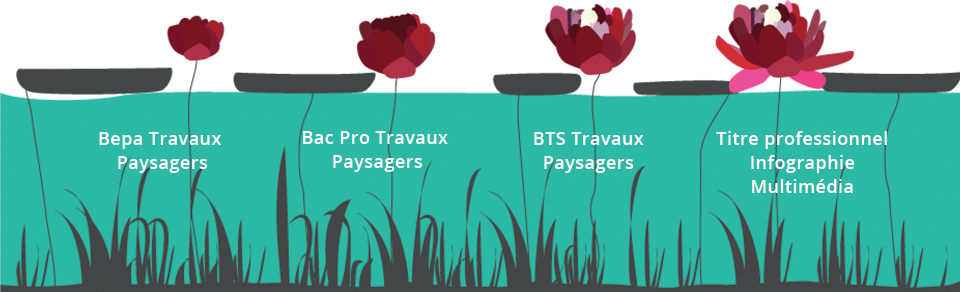 Bepa Travaux Paysagers, Bac Pro Travaux Paysagers, BTS Travaux Paysagers, Titre professionnel Infographie Multimédia
