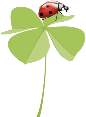 Logo So-Semilla